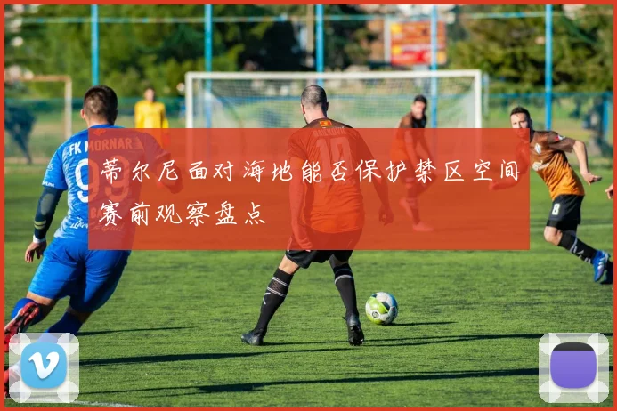 蒂尔尼面对海地能否保护禁区空间赛前观察盘点