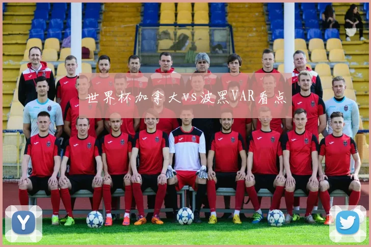 世界杯加拿大vs波黑VAR看点