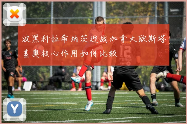 波黑科拉希纳茨迎战加拿大欧斯塔基奥核心作用如何比较